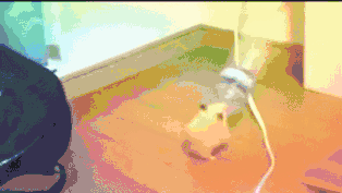 【跪求五蕉】论BGM的重要性! 那些有趣傻缺碉堡小视频第三十四期